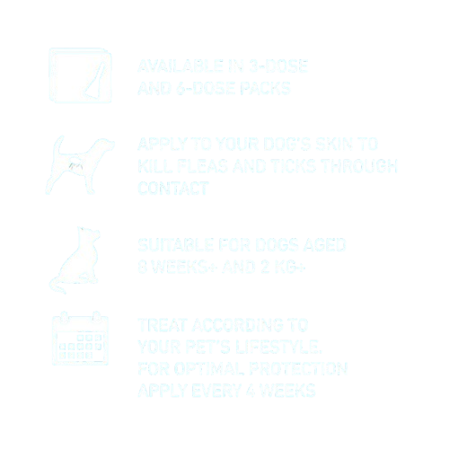 FRONTLINE Spot On Flea & Tick Treatment for Small Dog (2-10kg) 6 Pipettes