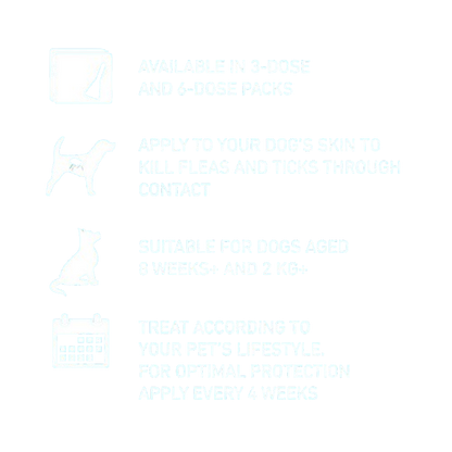 FRONTLINE Spot On Flea & Tick Treatment for Small Dog (2-10kg) 6 Pipettes