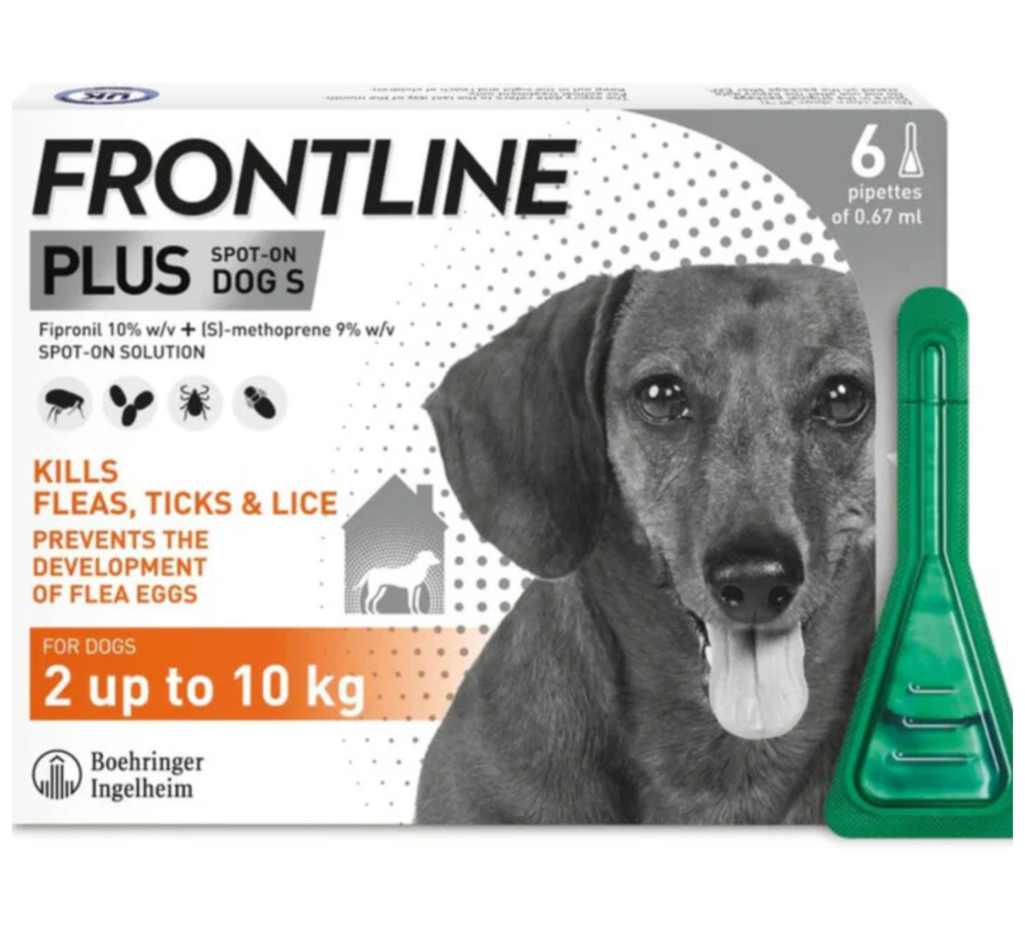 FRONTLINE Plus Flea & Tick Treatment for Small Dogs - 6 Pipettes